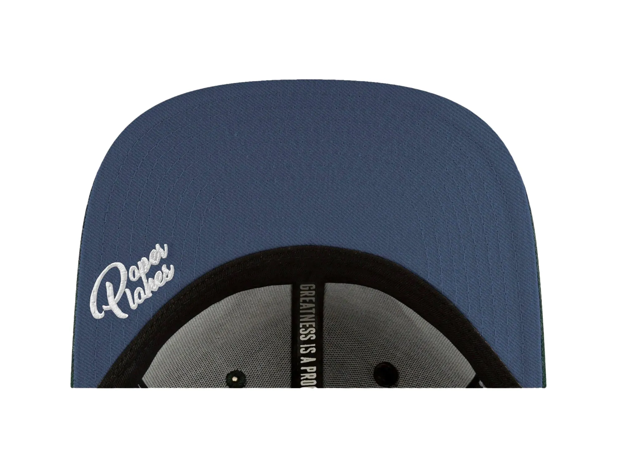 Paper Planes Men's Scripted Mantra Retro Snapback with contrasting undervisor